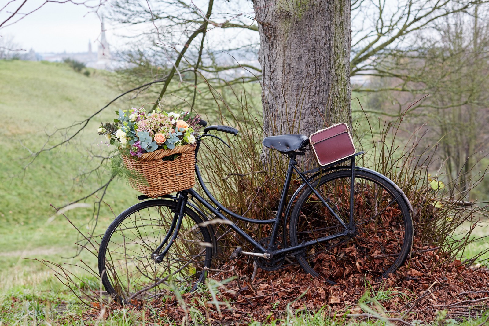 'Betty' the Vintage Bicycle